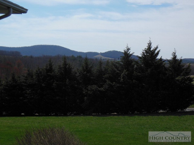 1242 Lazy Branch Road Ennice, NC 28623 - Photo 5 of 29 a view of outdoor space and mountain view