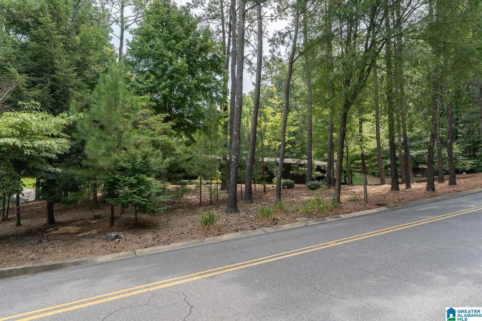 4116 Stone River Road Birmingham, AL 35213 - Photo 4 of 45