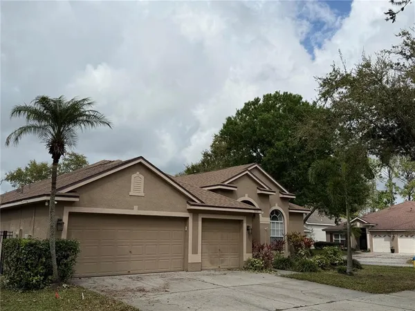 $3,500 | 10132 Downey Lane, Tampa, FL 33626