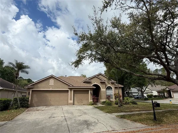 $3,500 | 10132 Downey Lane, Tampa, FL 33626