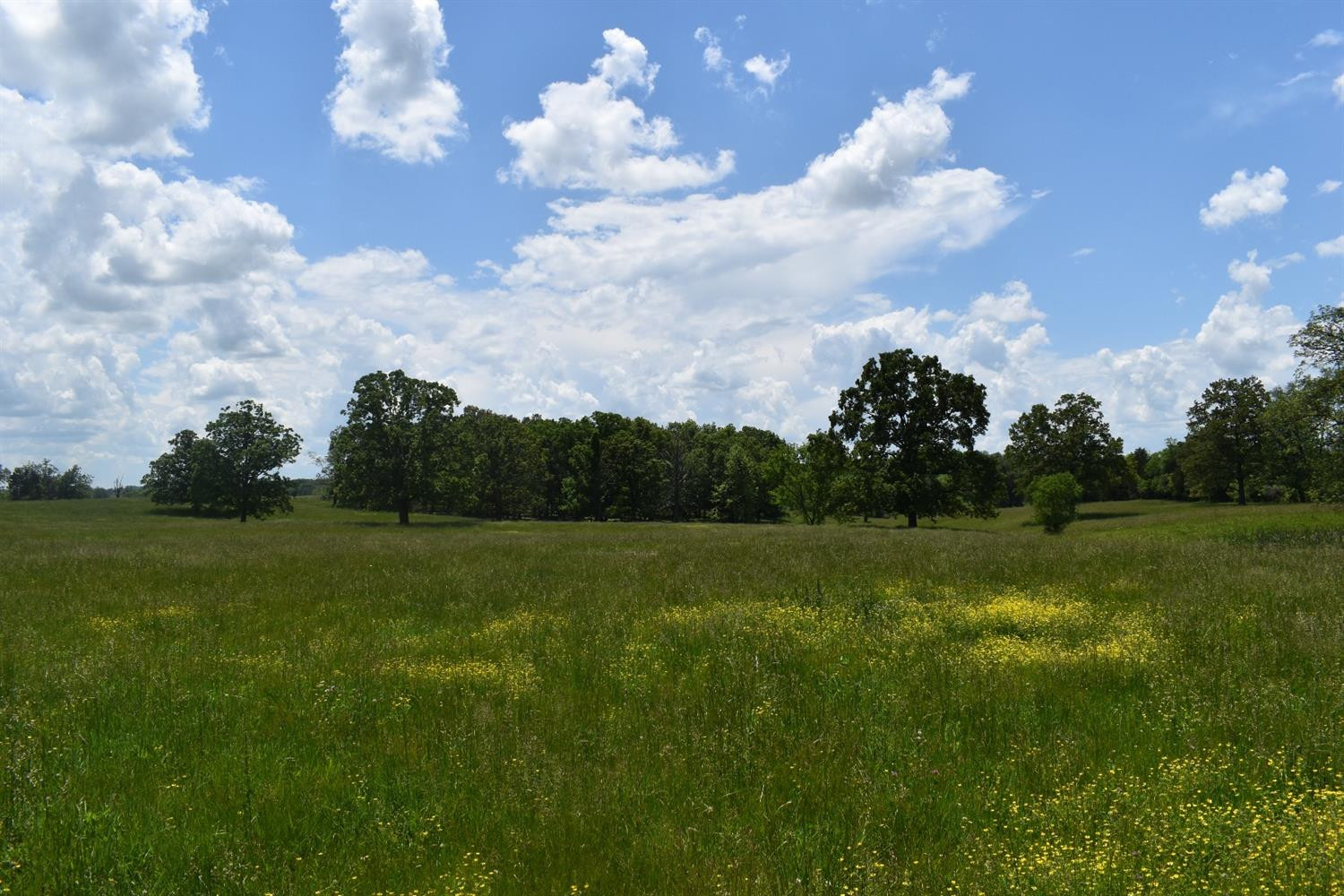 1 Box Ankle Road Richmond, KY 40475 - Photo 22 of 34 Photo 23