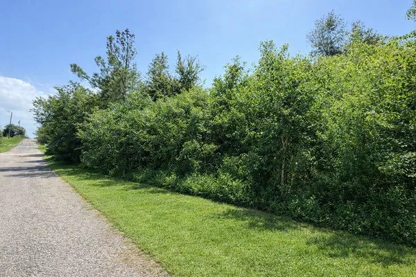 $11,000 | Lot 42 Linger Lane, Onalaska, TX 77360