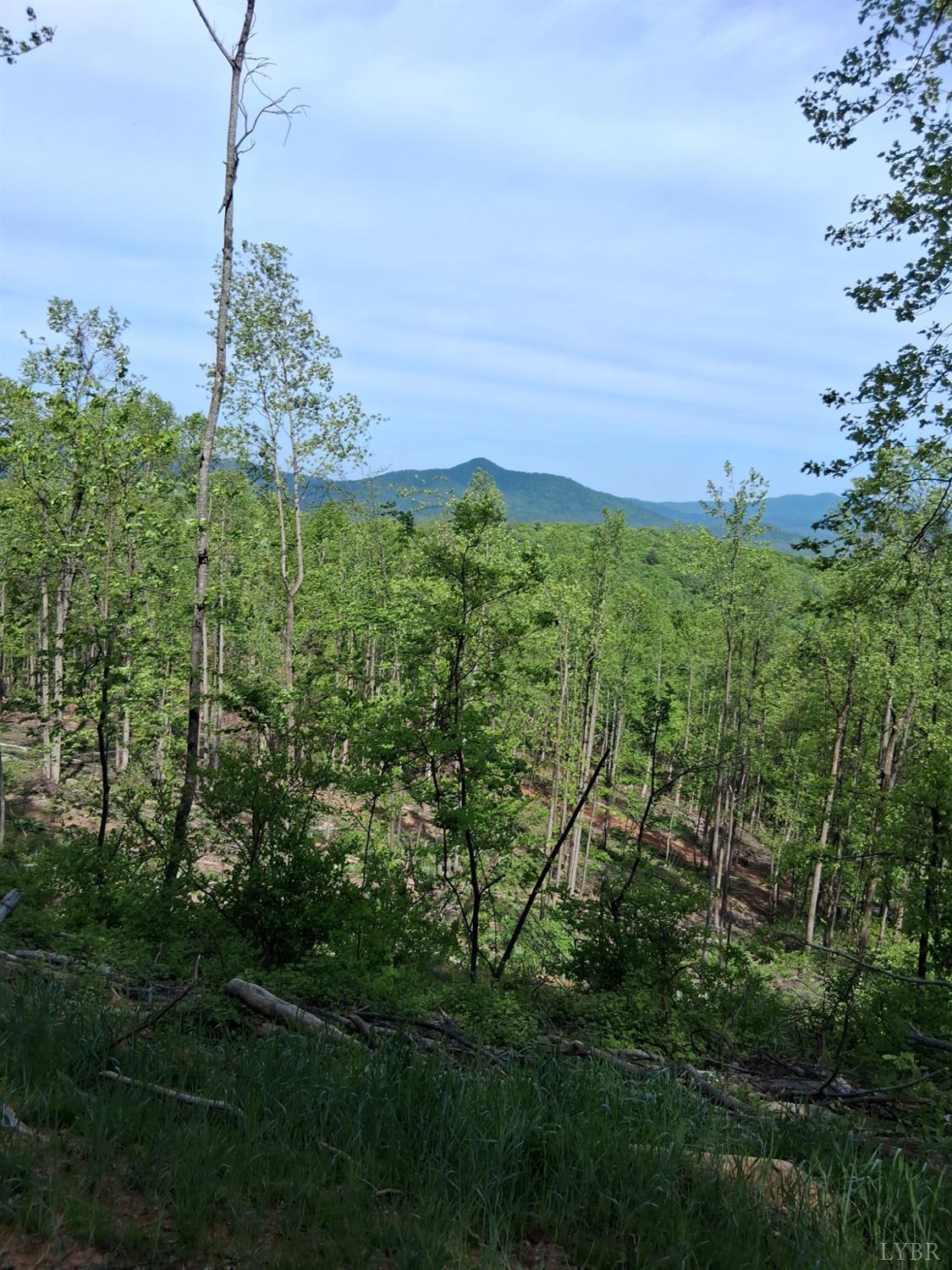 0 Robinson Gap Road Monroe, VA 24574 - Photo 15 of 44 Gallery Image 15