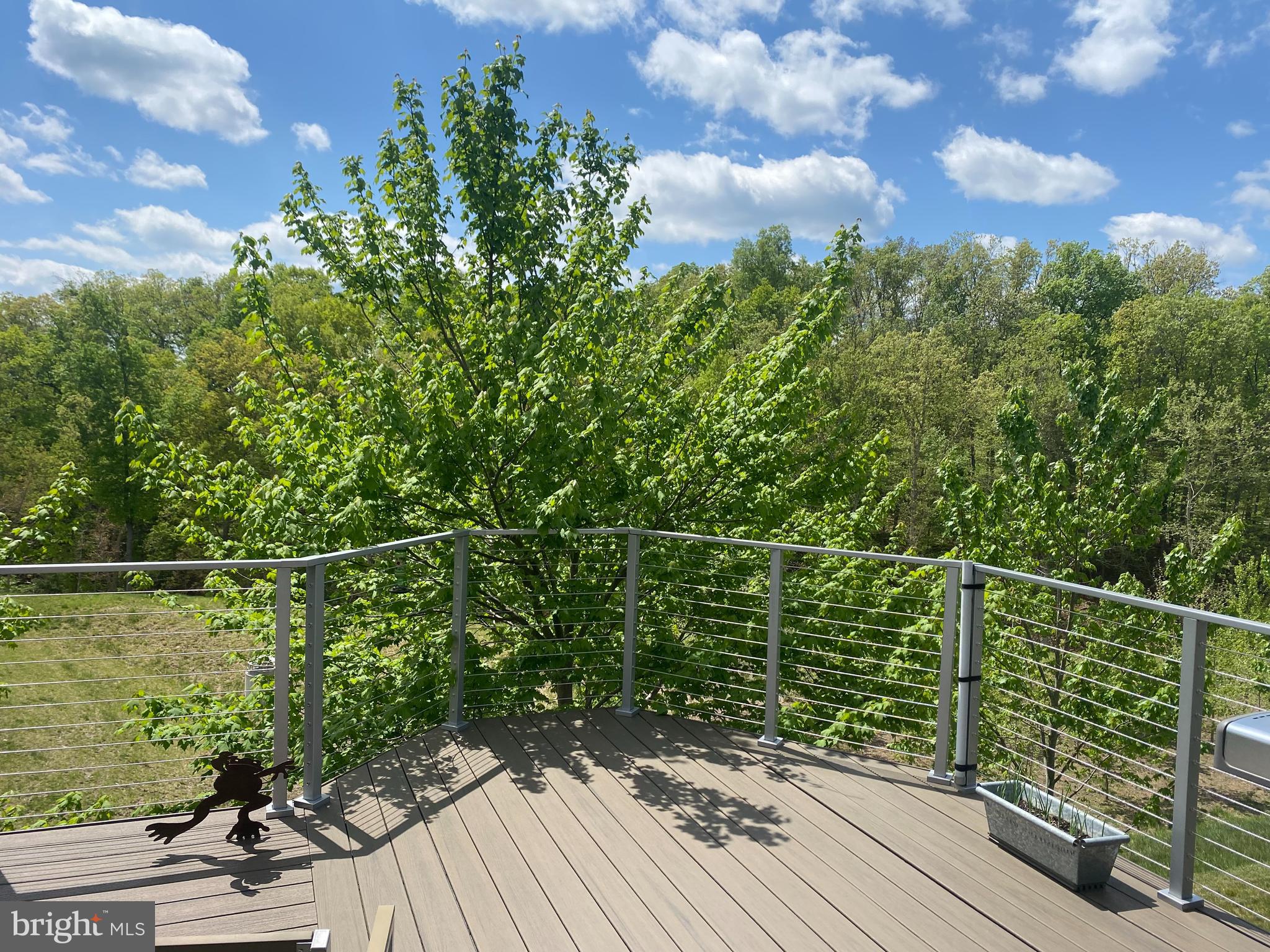 112 Flycatcher Way White Post, VA 22663 - Photo 40 of 76