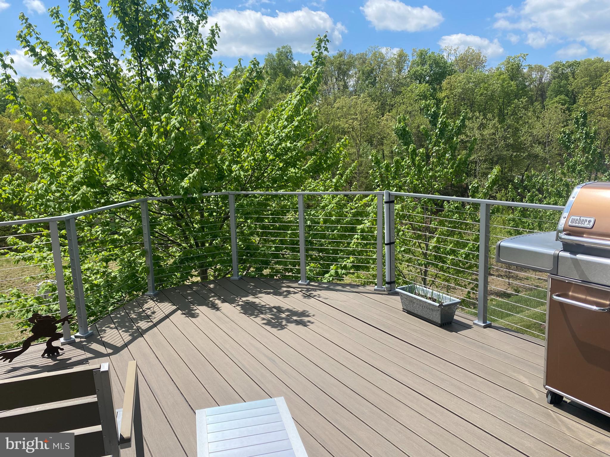 112 Flycatcher Way White Post, VA 22663 - Photo 41 of 76