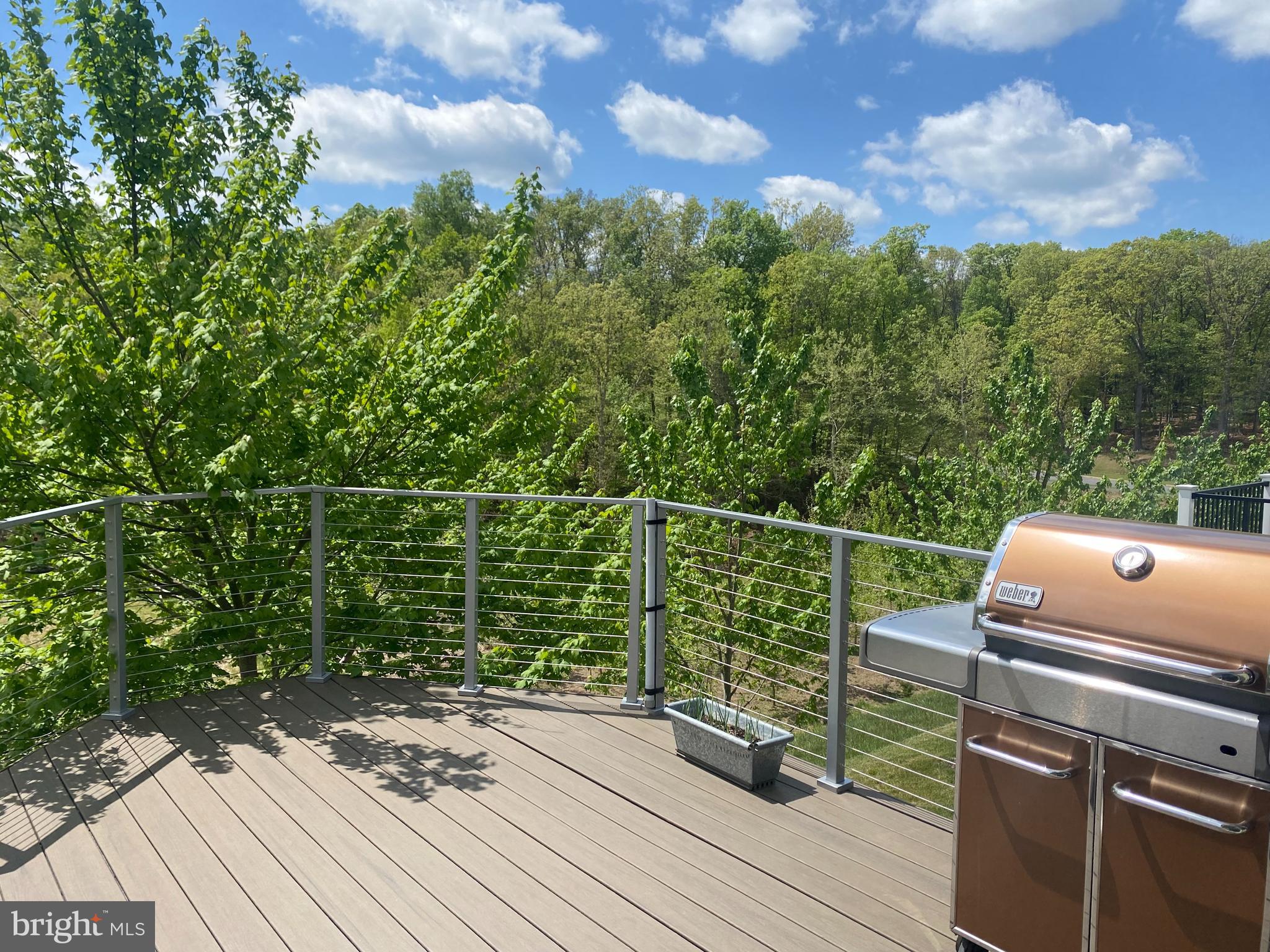 112 Flycatcher Way White Post, VA 22663 - Photo 42 of 76