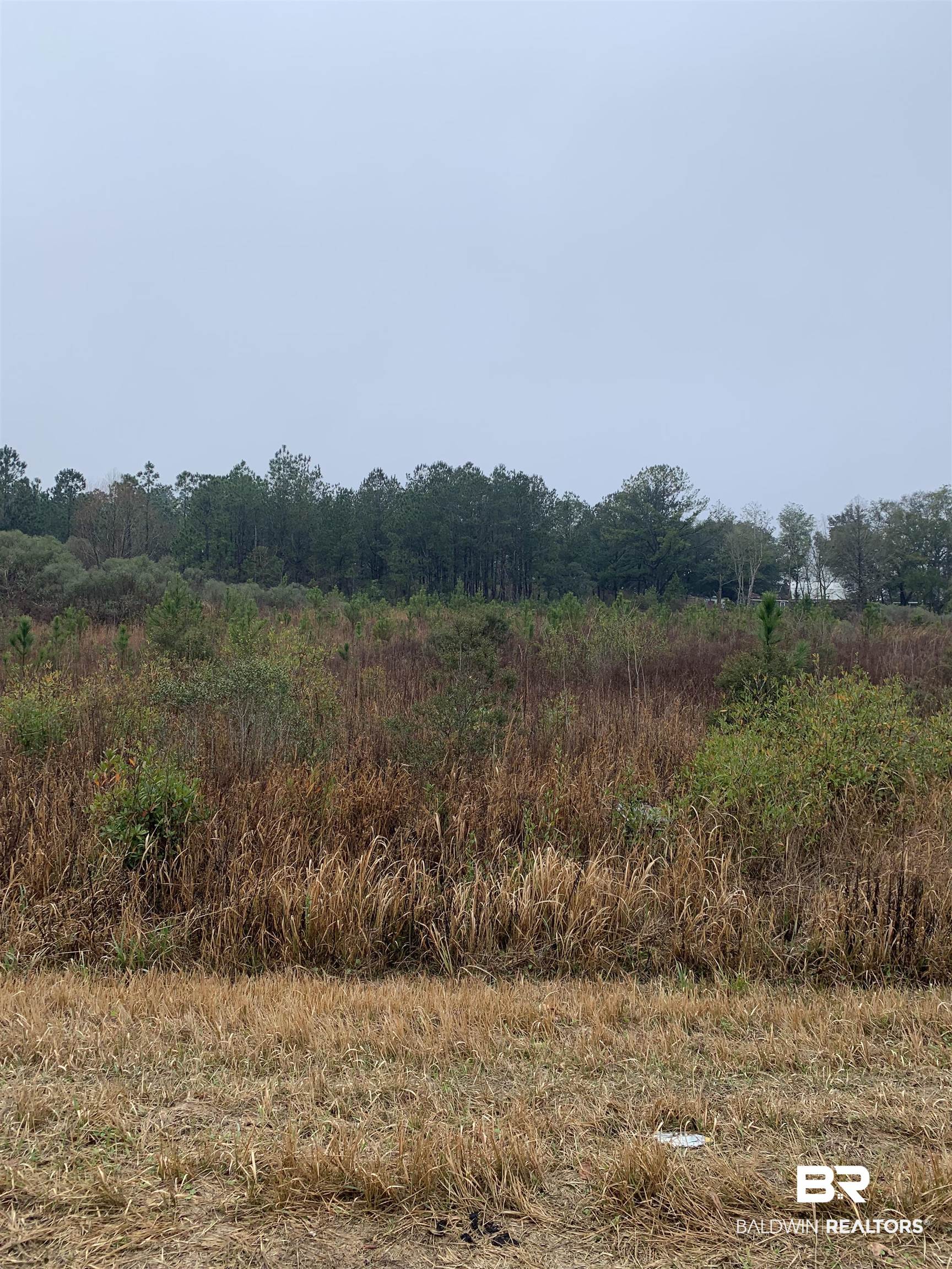 7211 Roscoe Road Gulf Shores, AL 36542 - Photo 1 of 3