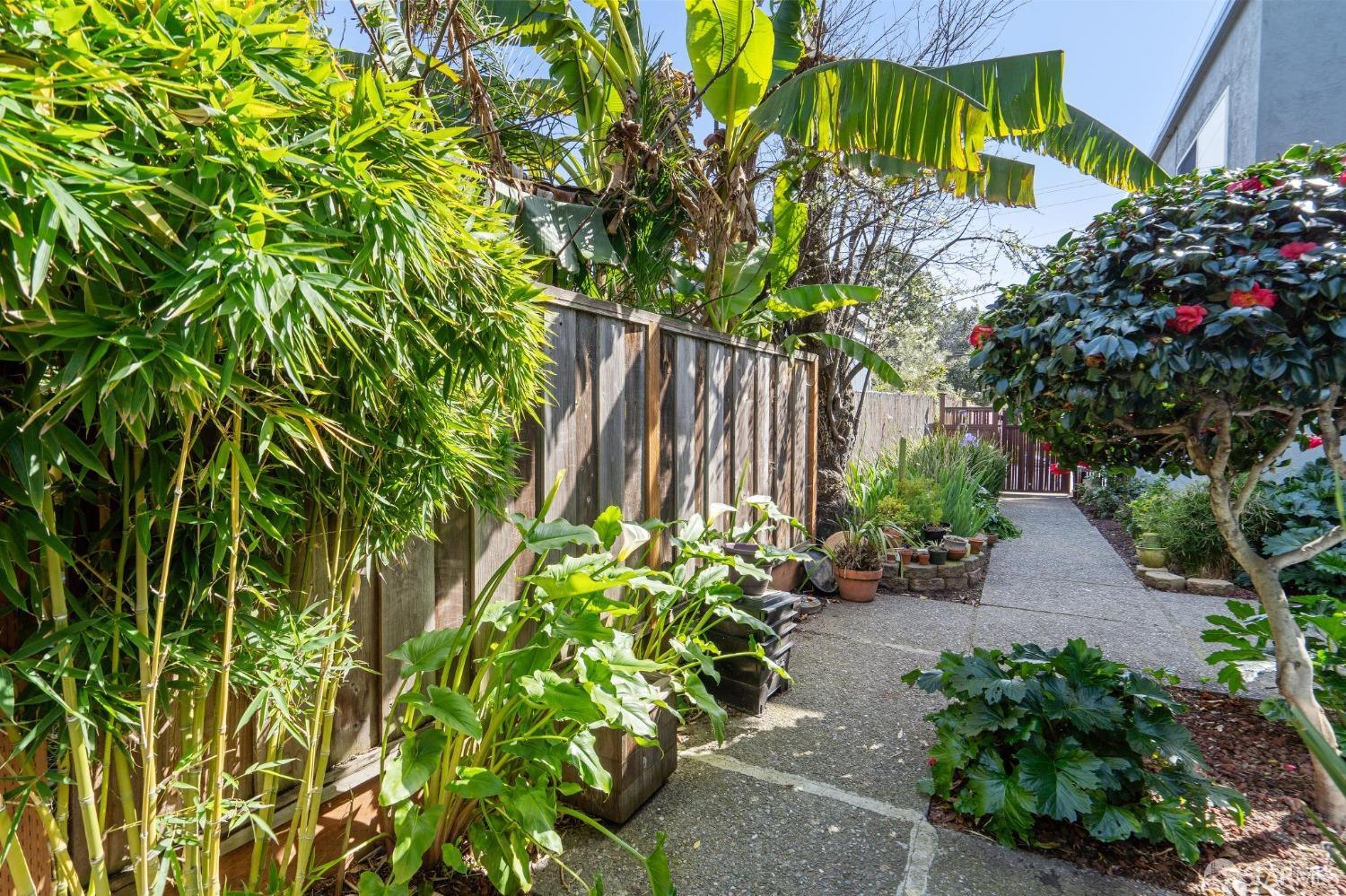 1649 Julia Street Berkeley, CA 94703 - Photo 5 of 28