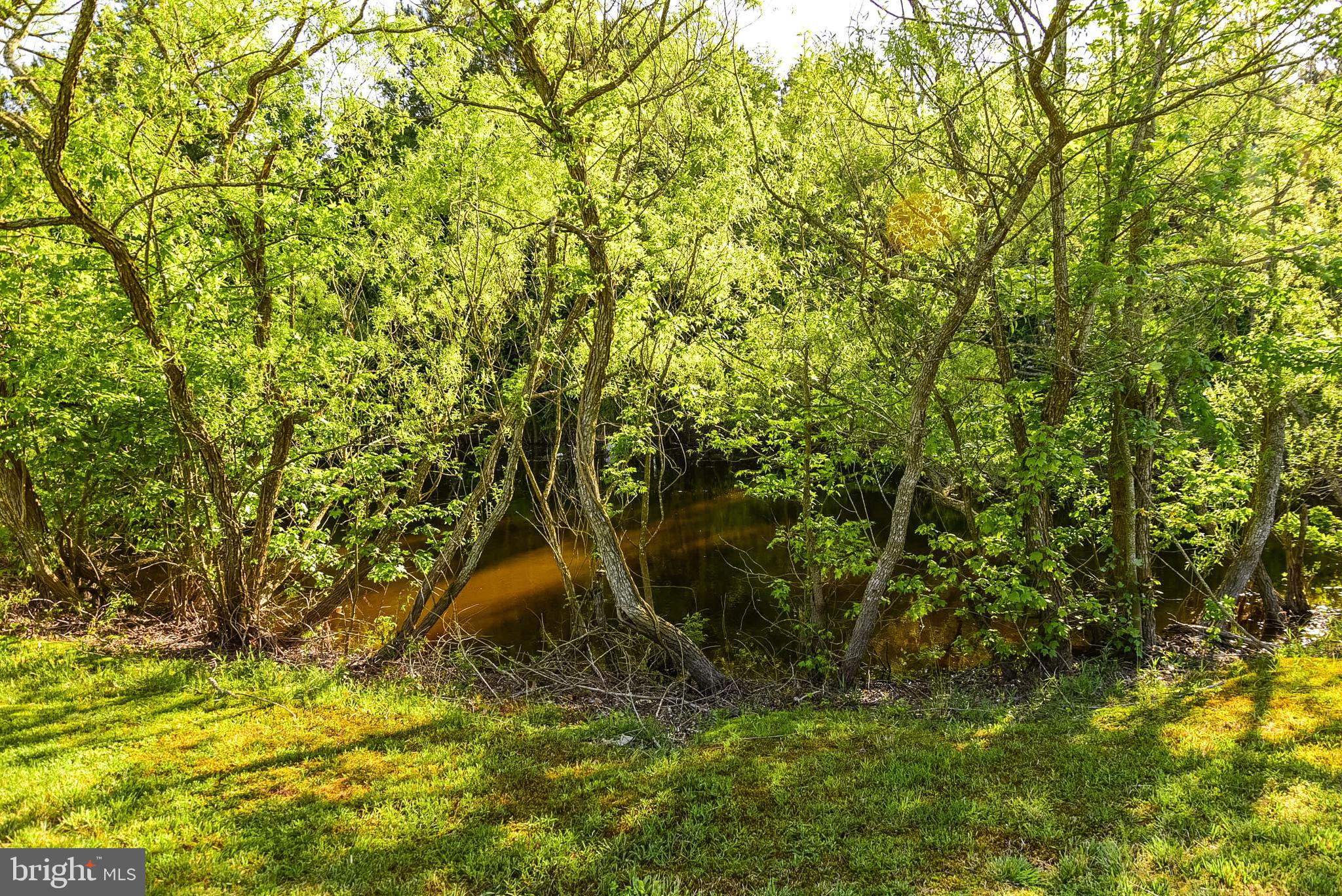 12606 Shell Mill Road Bishopville, MD 21813 - Photo 33 of 61 Gallery Image 33