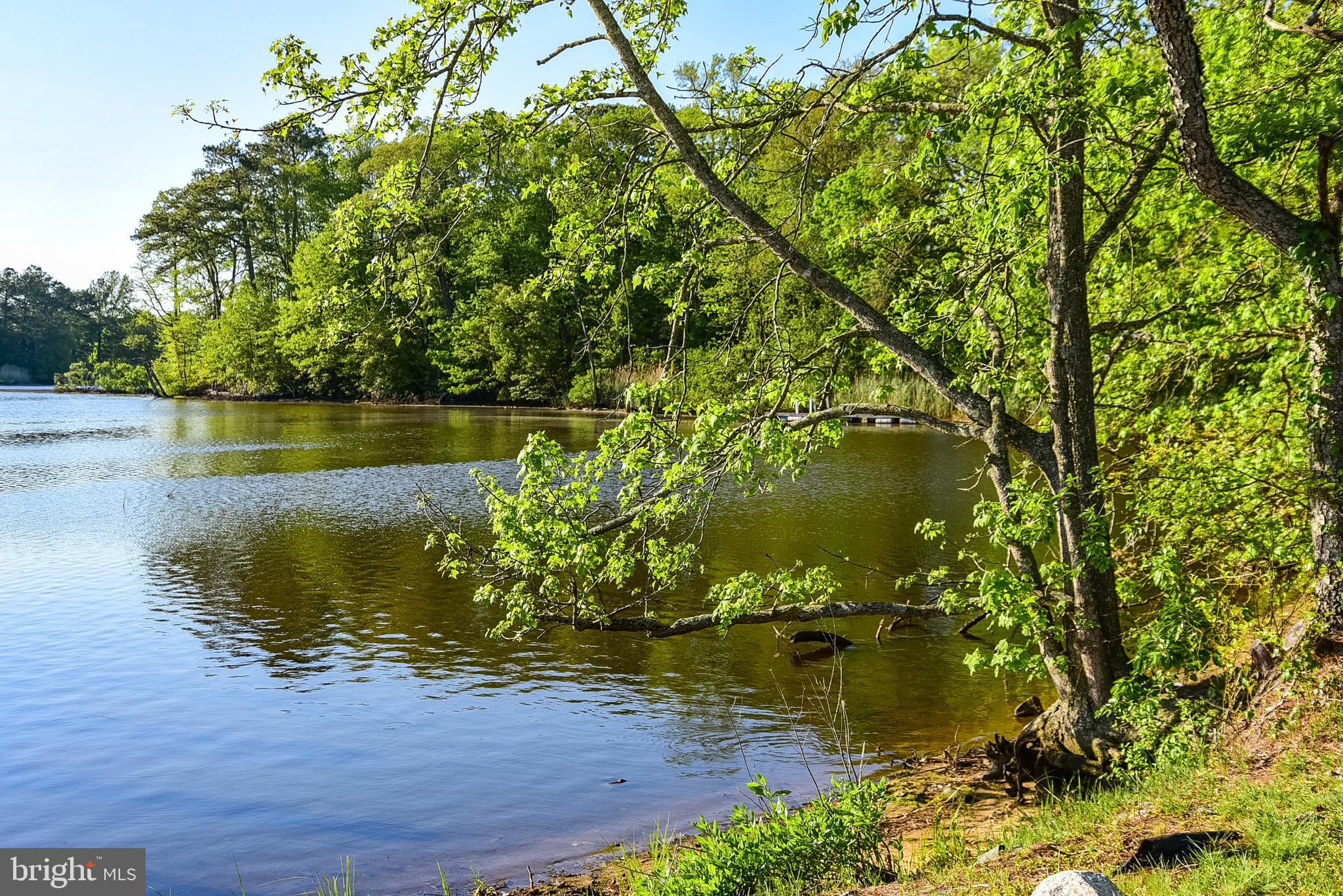 12606 Shell Mill Road Bishopville, MD 21813 - Photo 52 of 61 Gallery Image 52