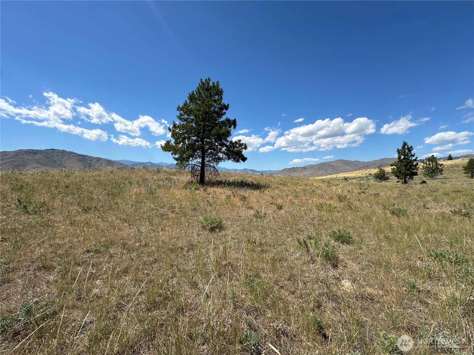 -tbd Peterson Rnch Road Pateros, WA 98846 - Photo 17 of 20 a view of a hall with a fireplace