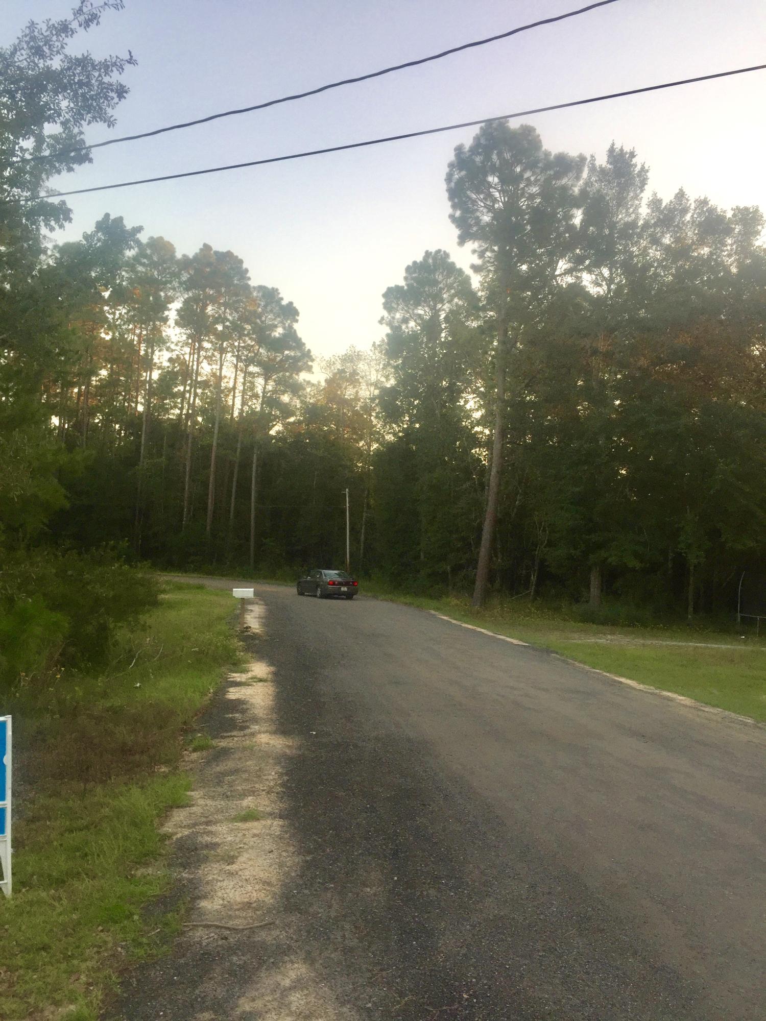 39 Mallet Road Freeport, FL 32439 - Photo 4 of 4 Gallery Image 4