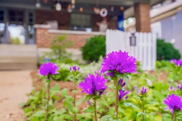 $550,000 | 28 West 58th Street, Kansas City, MO 64113