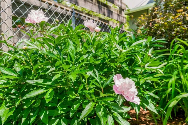 $550,000 | 28 West 58th Street, Kansas City, MO 64113