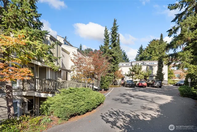 a view of road with yard and trees