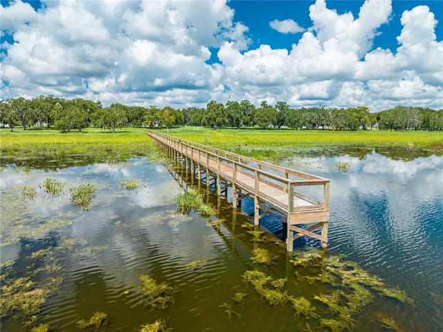 $408,000 | 3216 Olivia Breeze Drive, Kissimmee, FL 34746