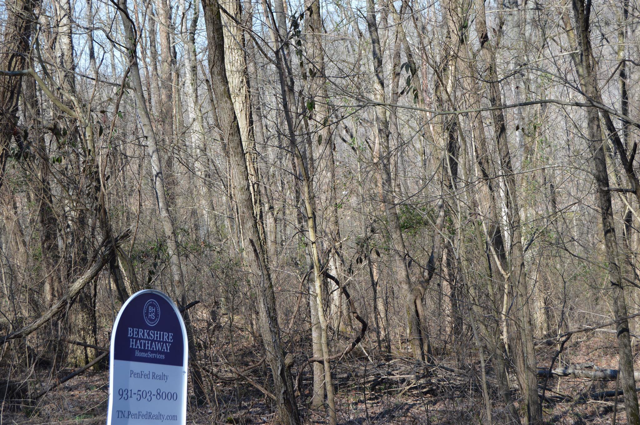 32 Cedar Point Road Bumpus Mills, TN 37028 - Photo 2 of 4 Gallery Image 2