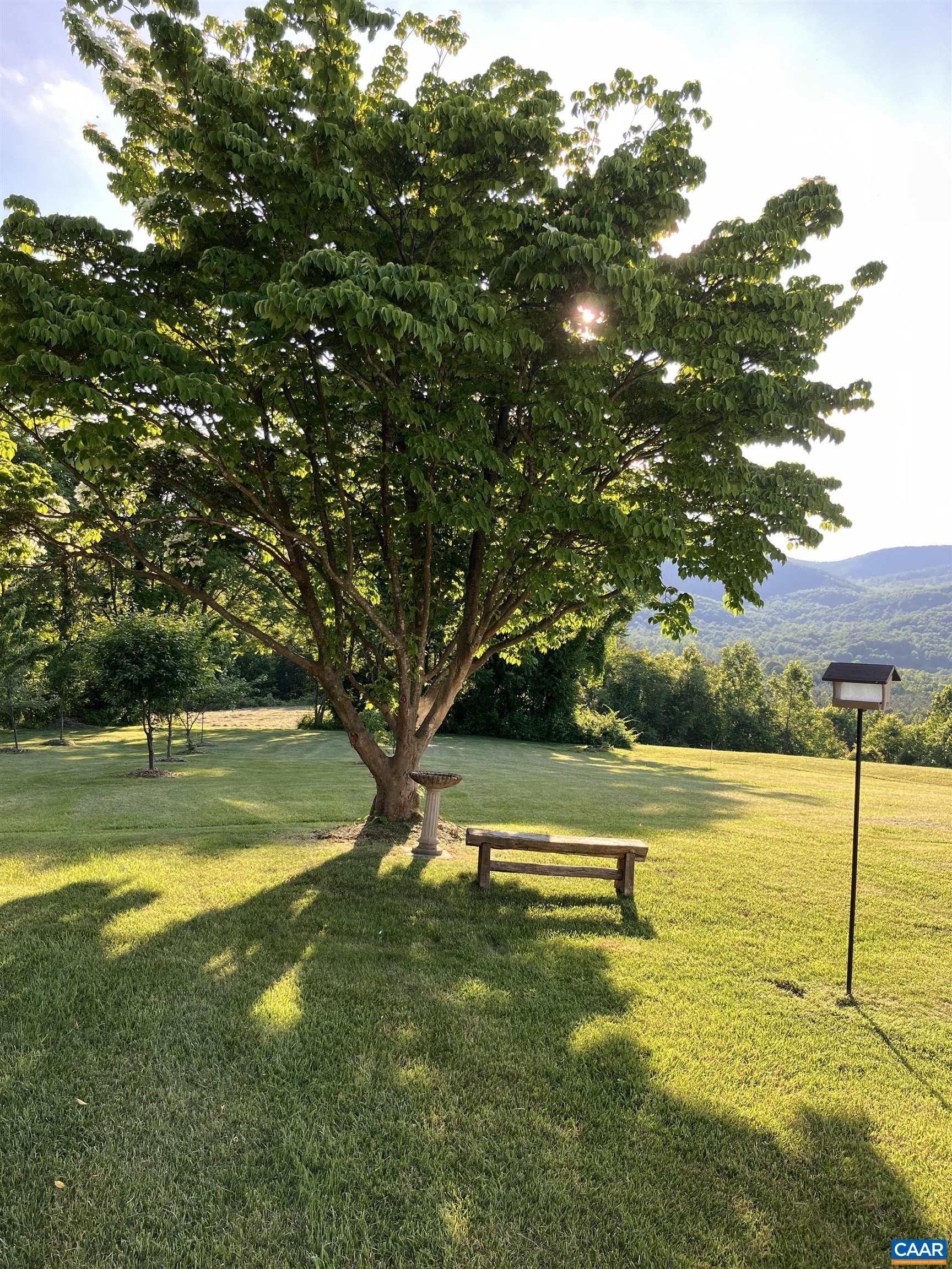 3716 Etlan Road Etlan, VA 22719 - Photo 23 of 53 Peaceful