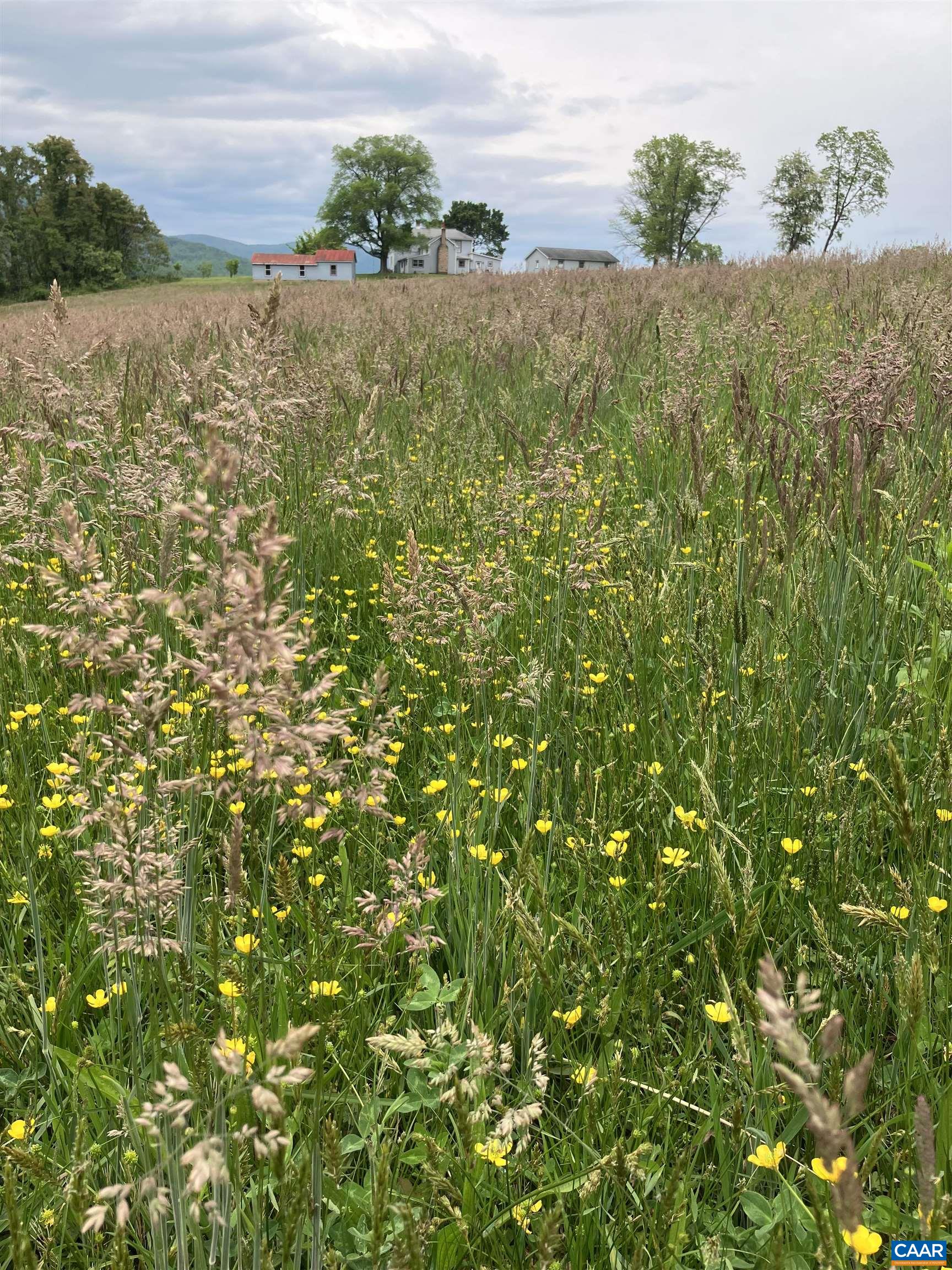 3716 Etlan Road Etlan, VA 22719 - Photo 25 of 53 Hayfield