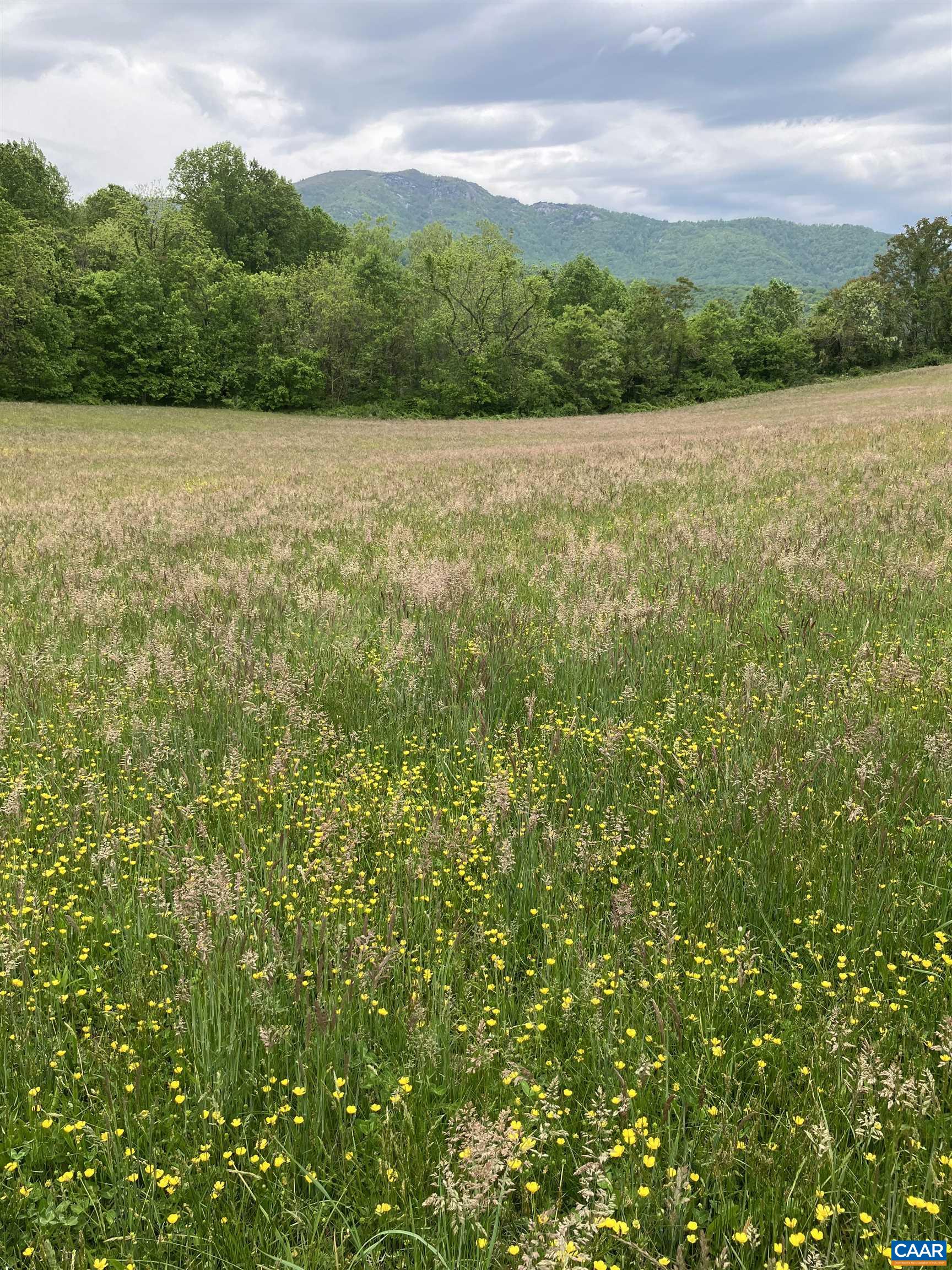 3716 Etlan Road Etlan, VA 22719 - Photo 26 of 53 Another hayfield view