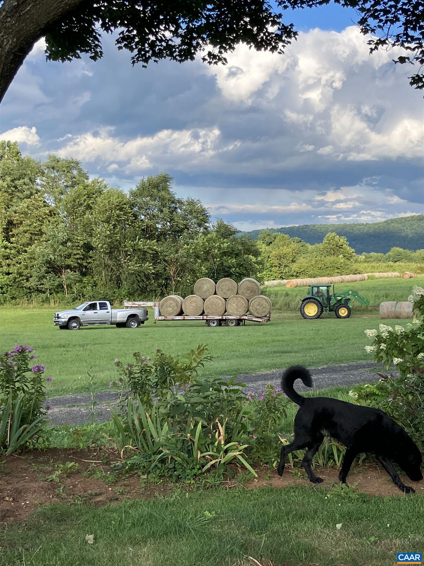 3716 Etlan Road Etlan, VA 22719 - Photo 29 of 53 Working hay farm