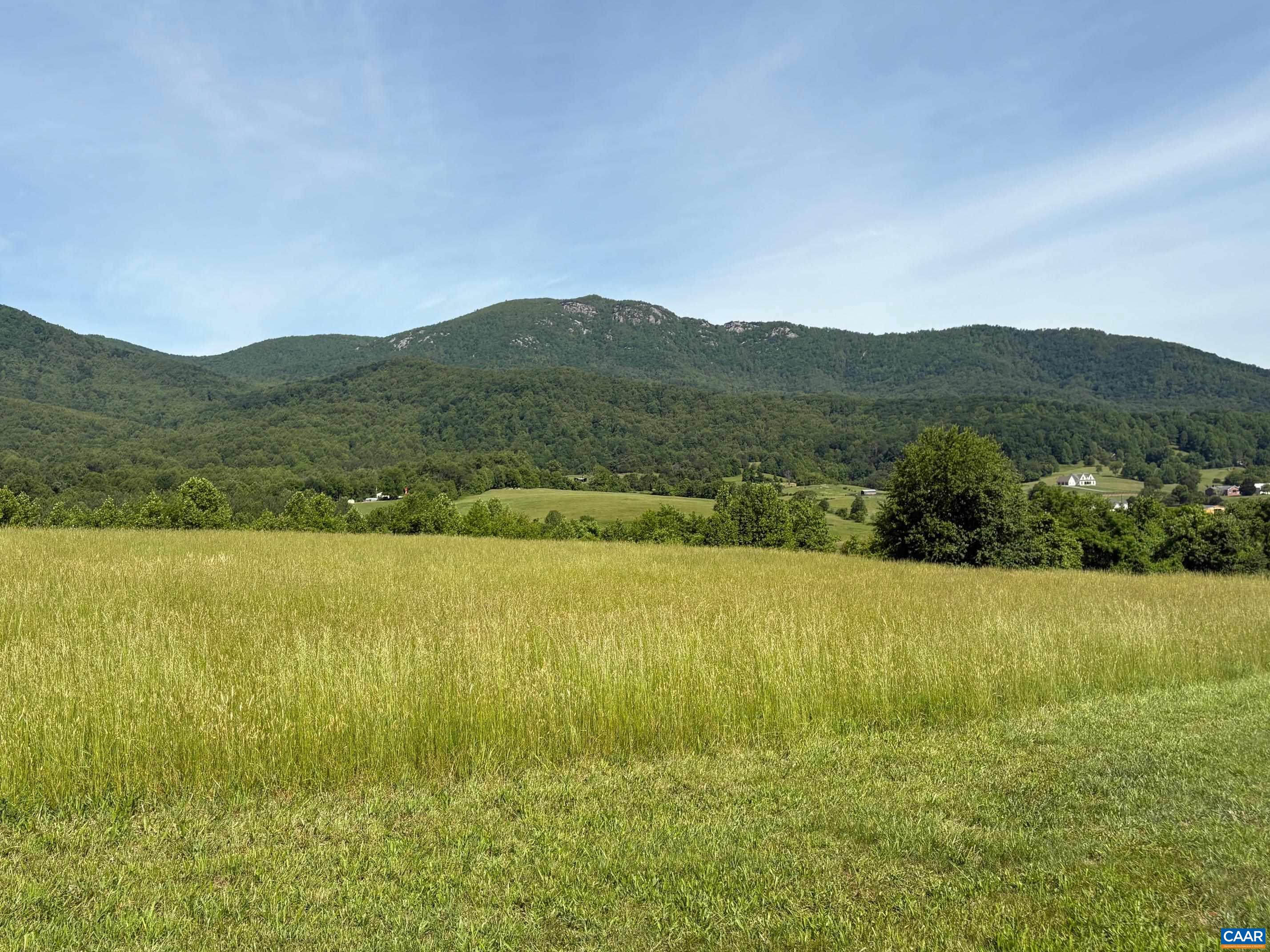 3716 Etlan Road Etlan, VA 22719 - Photo 33 of 53 Old Rag views