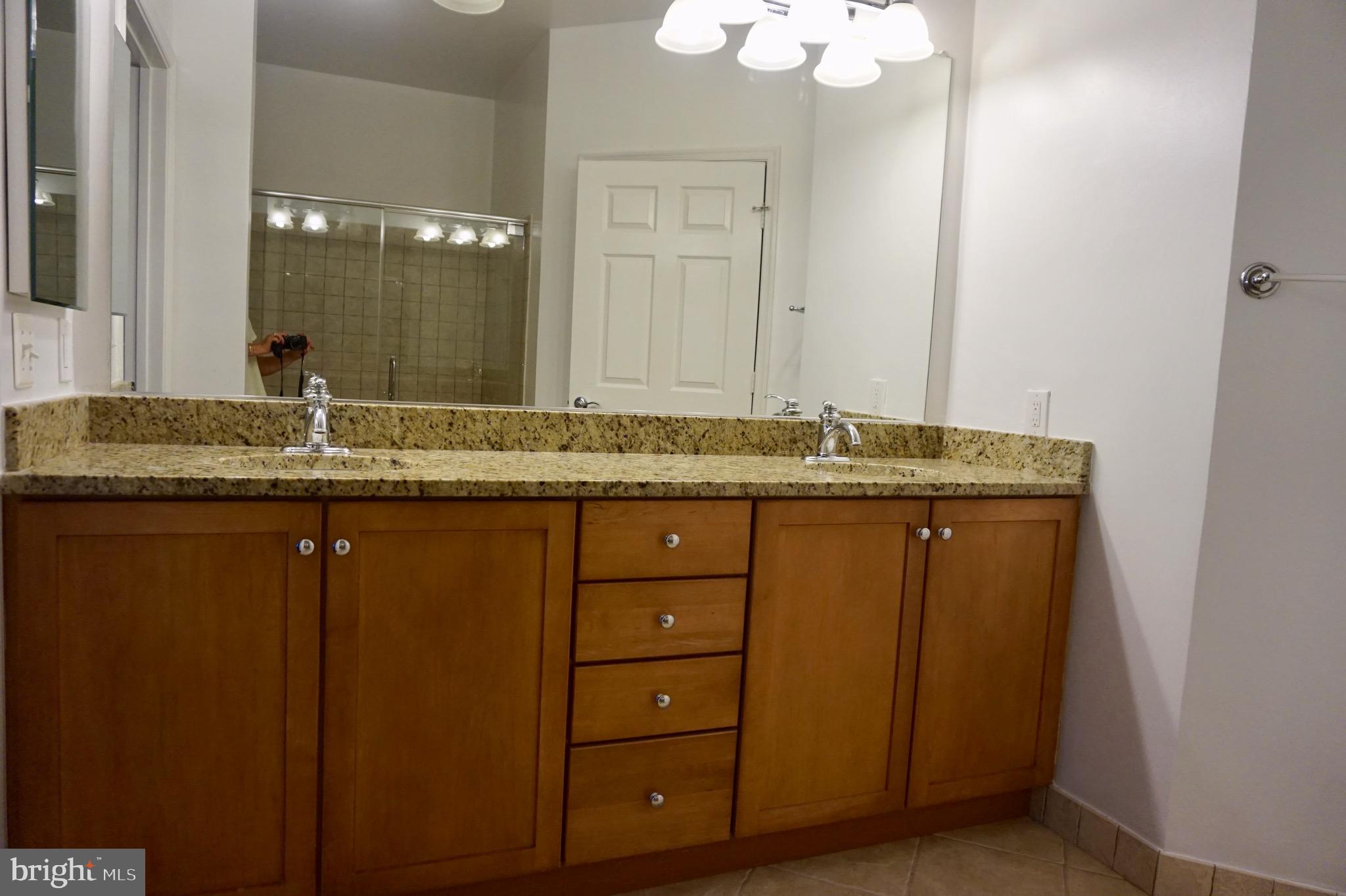 11750 Old Georgetown Road, Unit 2135 Rockville, MD 20852 - Photo 10 of 30 Master bath vanity