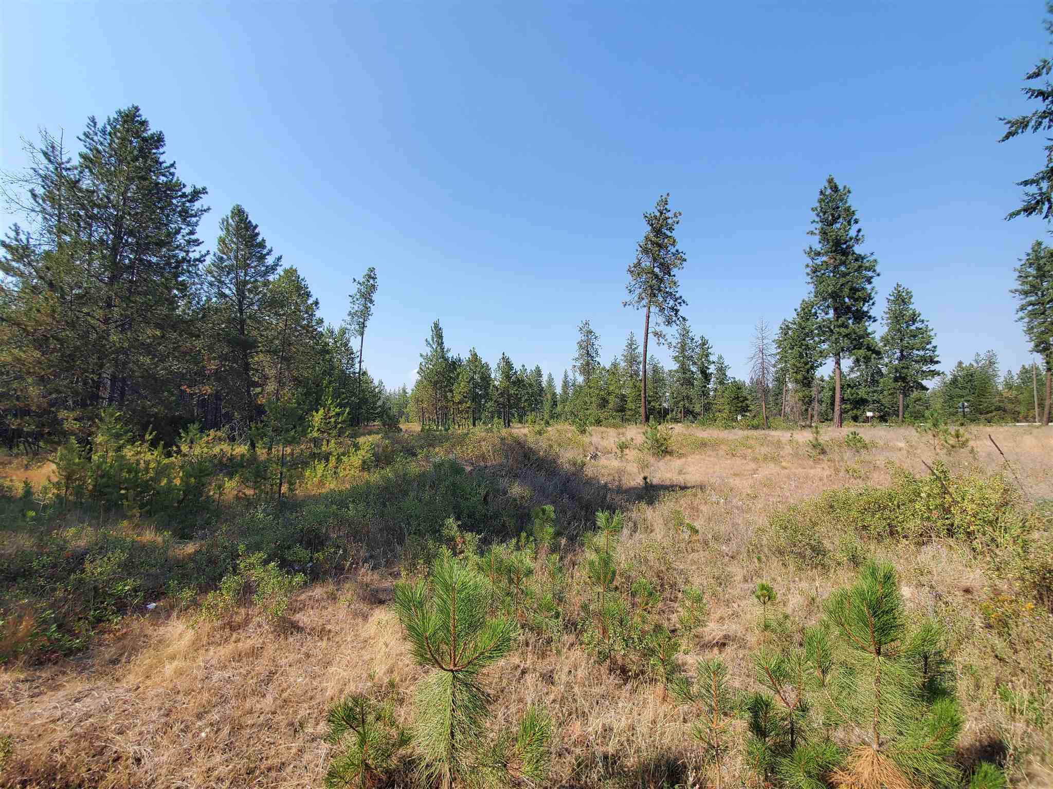 4225 East Bailey Road Deer Park, WA 99006 - Photo 19 of 40 Gallery Image 19