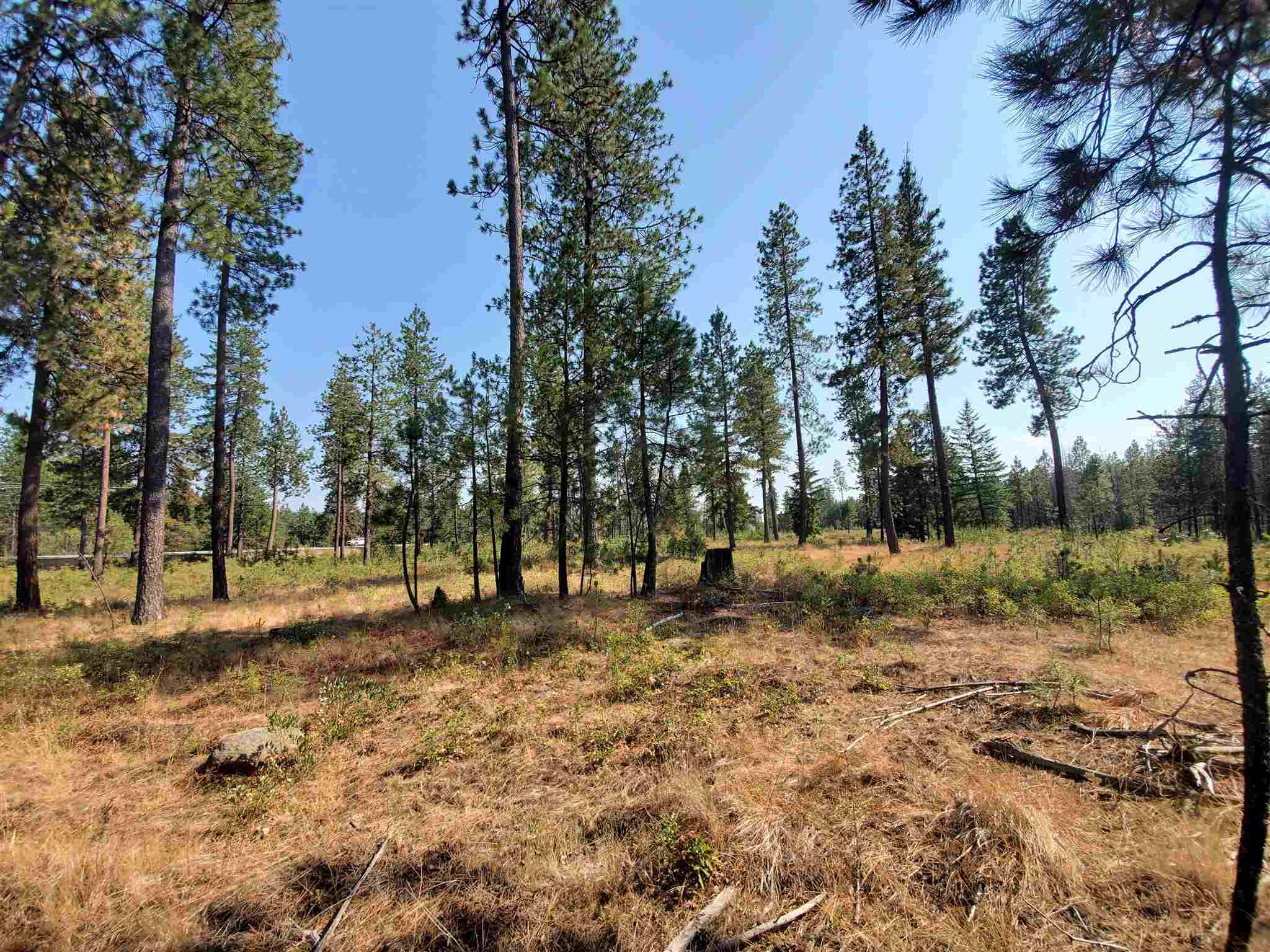 4225 East Bailey Road Deer Park, WA 99006 - Photo 21 of 40 Gallery Image 21