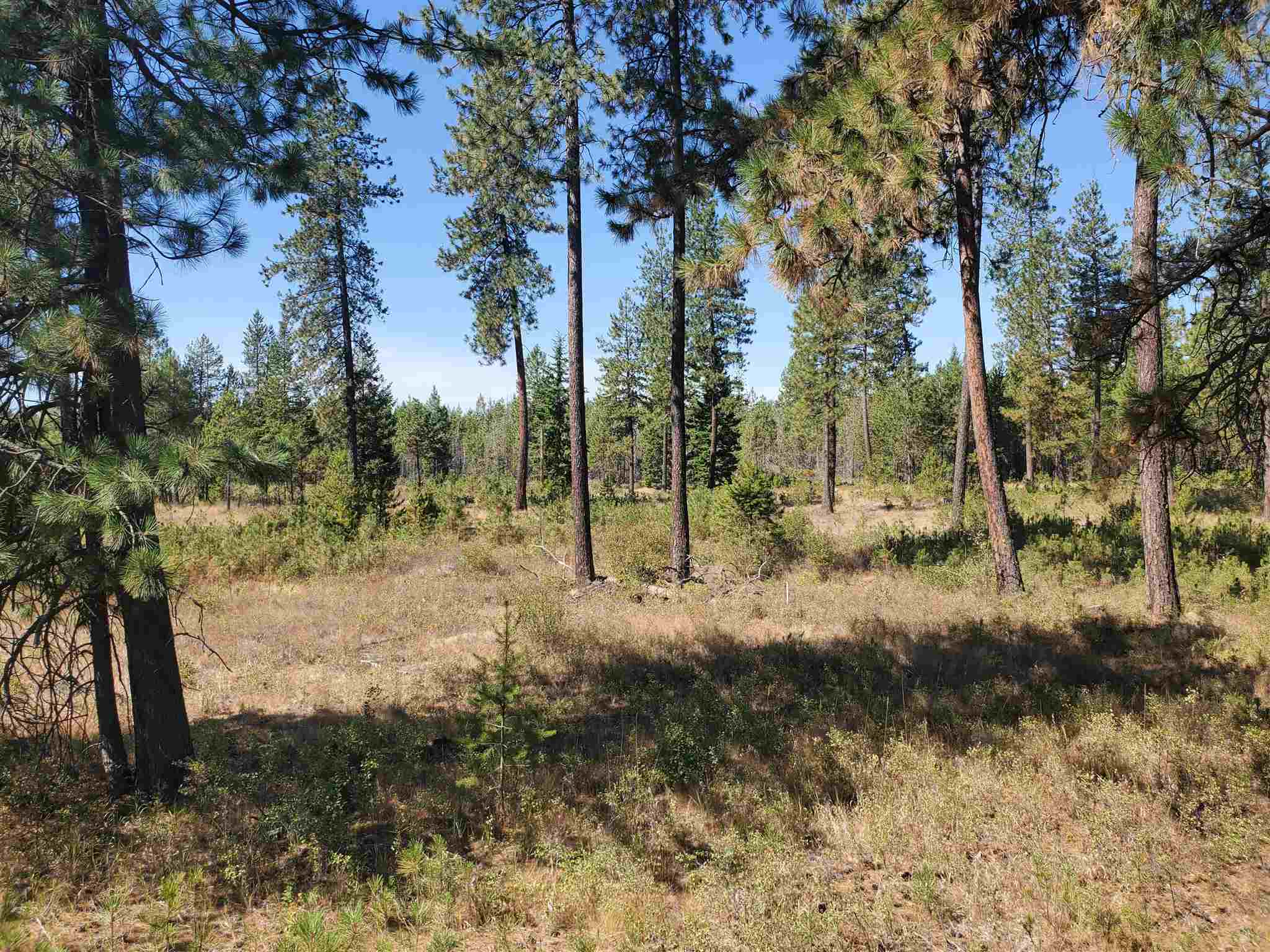 4225 East Bailey Road Deer Park, WA 99006 - Photo 34 of 40 Gallery Image 34
