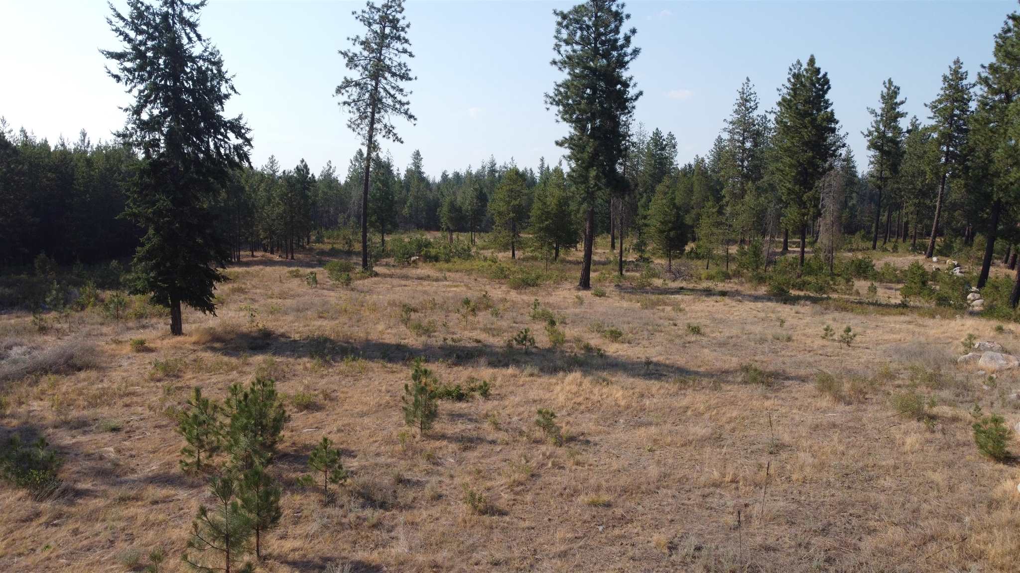 4225 East Bailey Road Deer Park, WA 99006 - Photo 39 of 40 Gallery Image 39