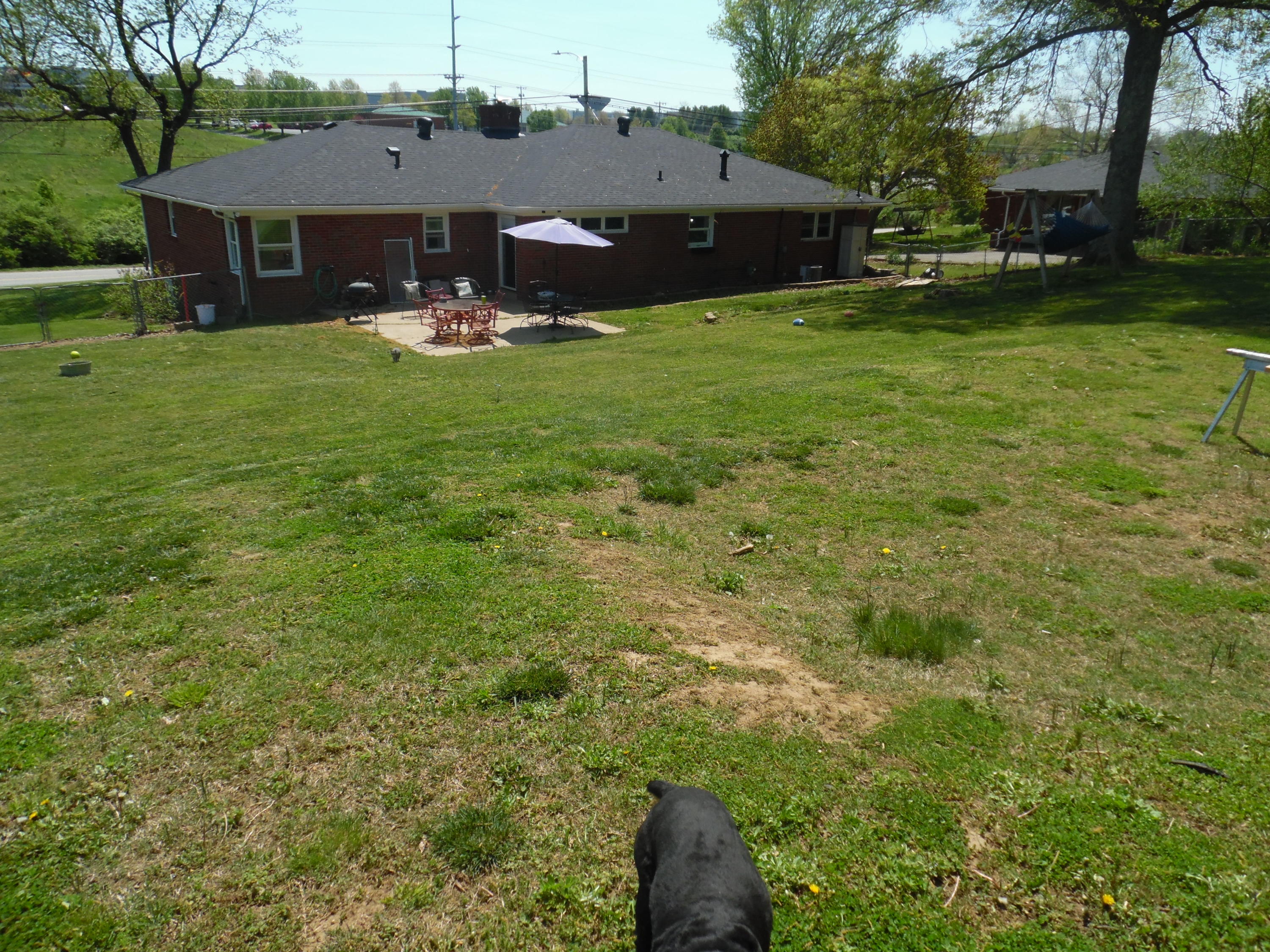 320 Duncan Road Frankfort, KY 40601 - Photo 37 of 37 SAM_1156