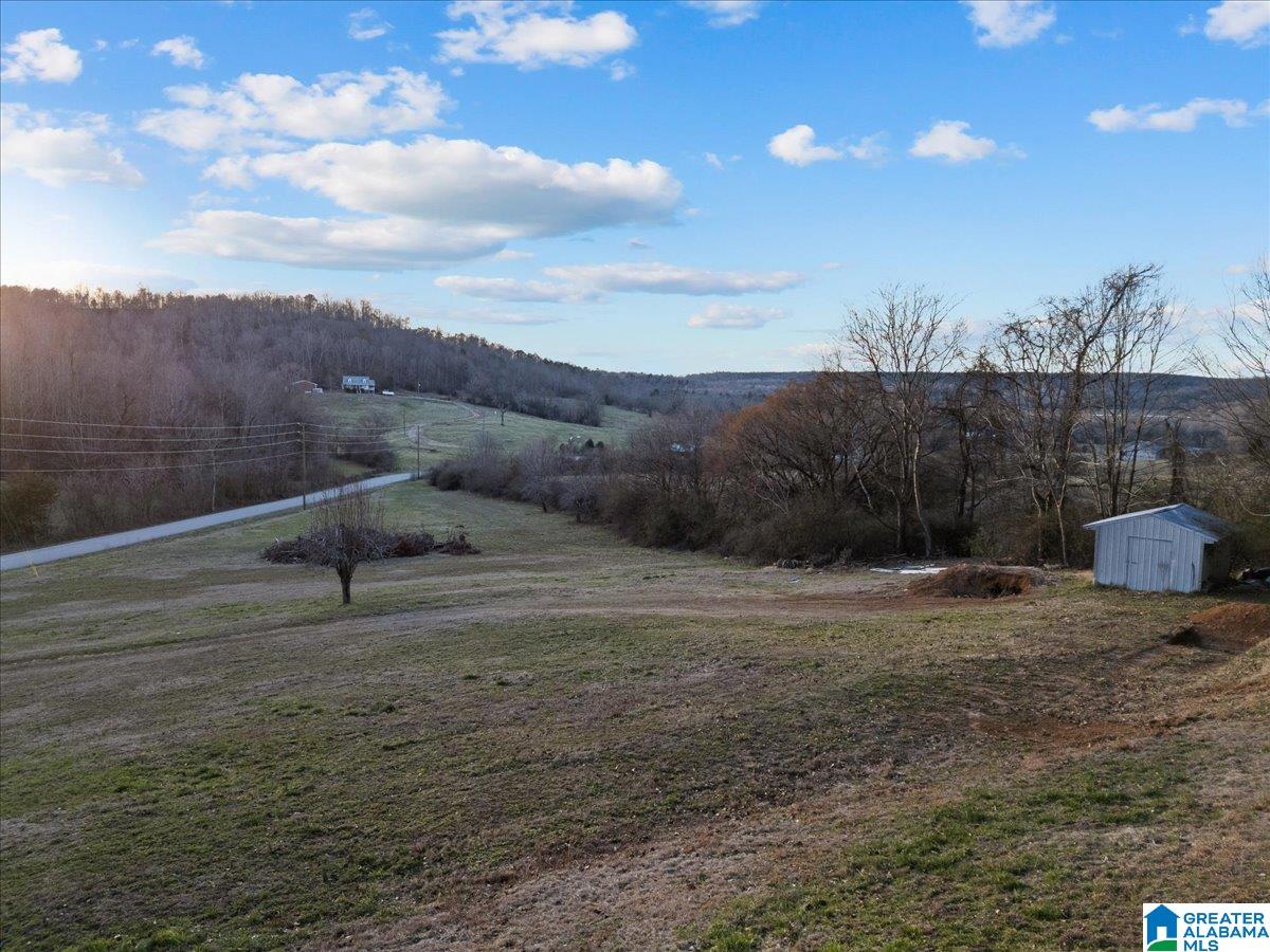 0 Rocky Hollow Road, Unit 10 Guntersville, AL 35976 - Photo 3 of 11