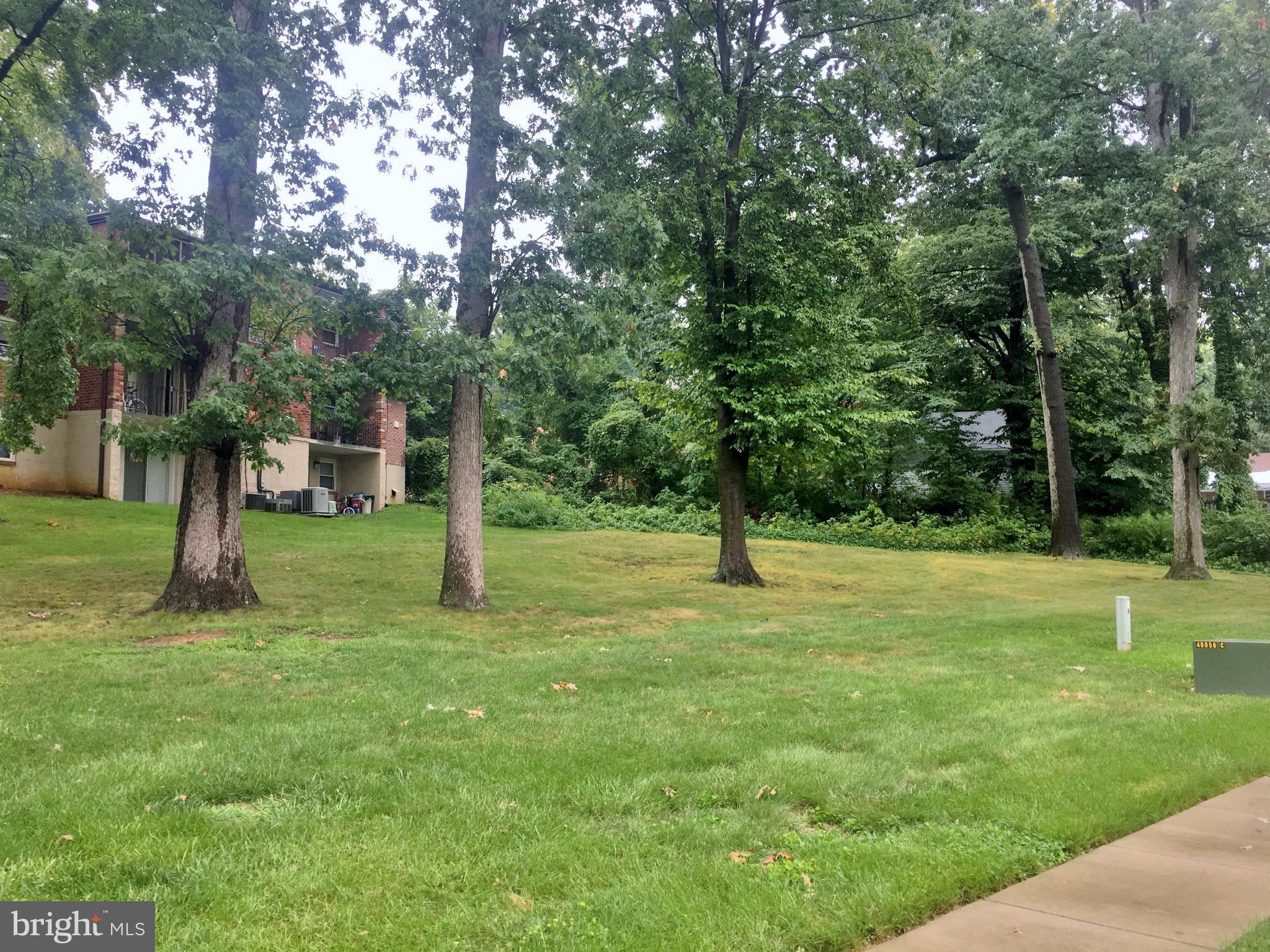 3714 Mayberry Avenue, Unit E Baltimore, MD 21206 - Photo 2 of 24 a view of a park with a tree