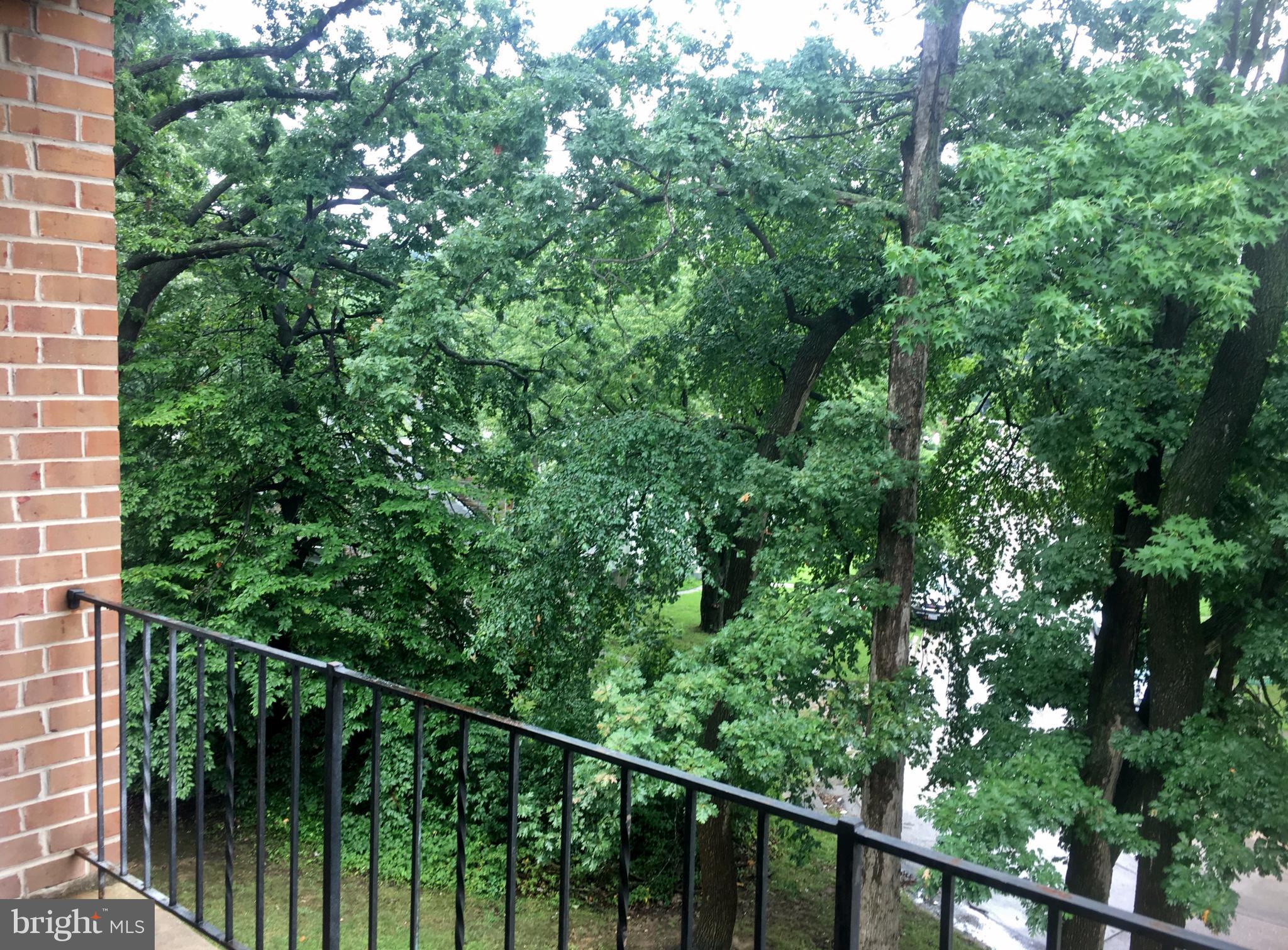3714 Mayberry Avenue, Unit E Baltimore, MD 21206 - Photo 11 of 24 a view of a balcony with a plant
