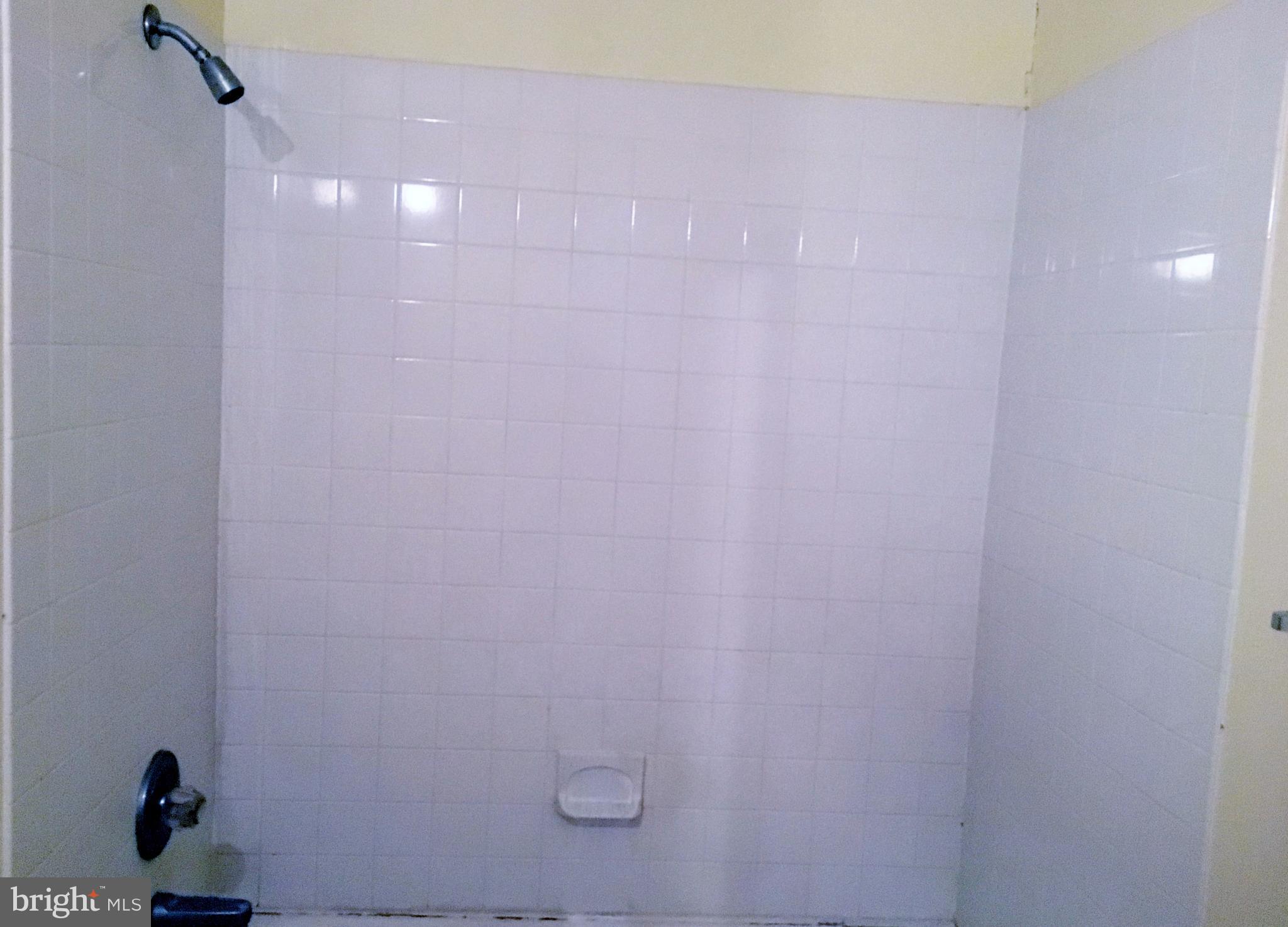 3714 Mayberry Avenue, Unit E Baltimore, MD 21206 - Photo 24 of 24 a bathroom with a shower