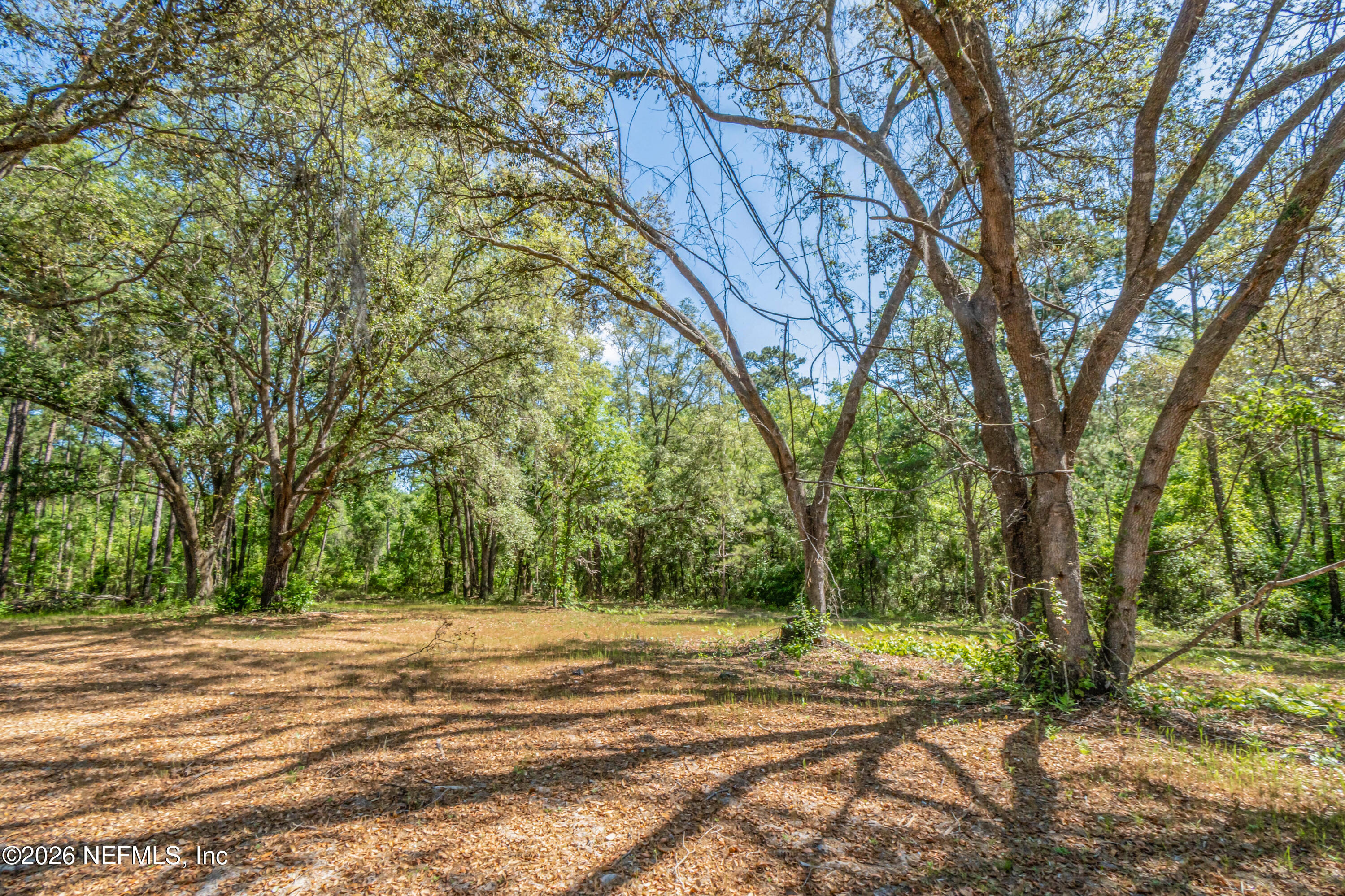 18937 Crews Road Glen St. Mary, FL 32040 - Photo 37 of 43 Back Yard