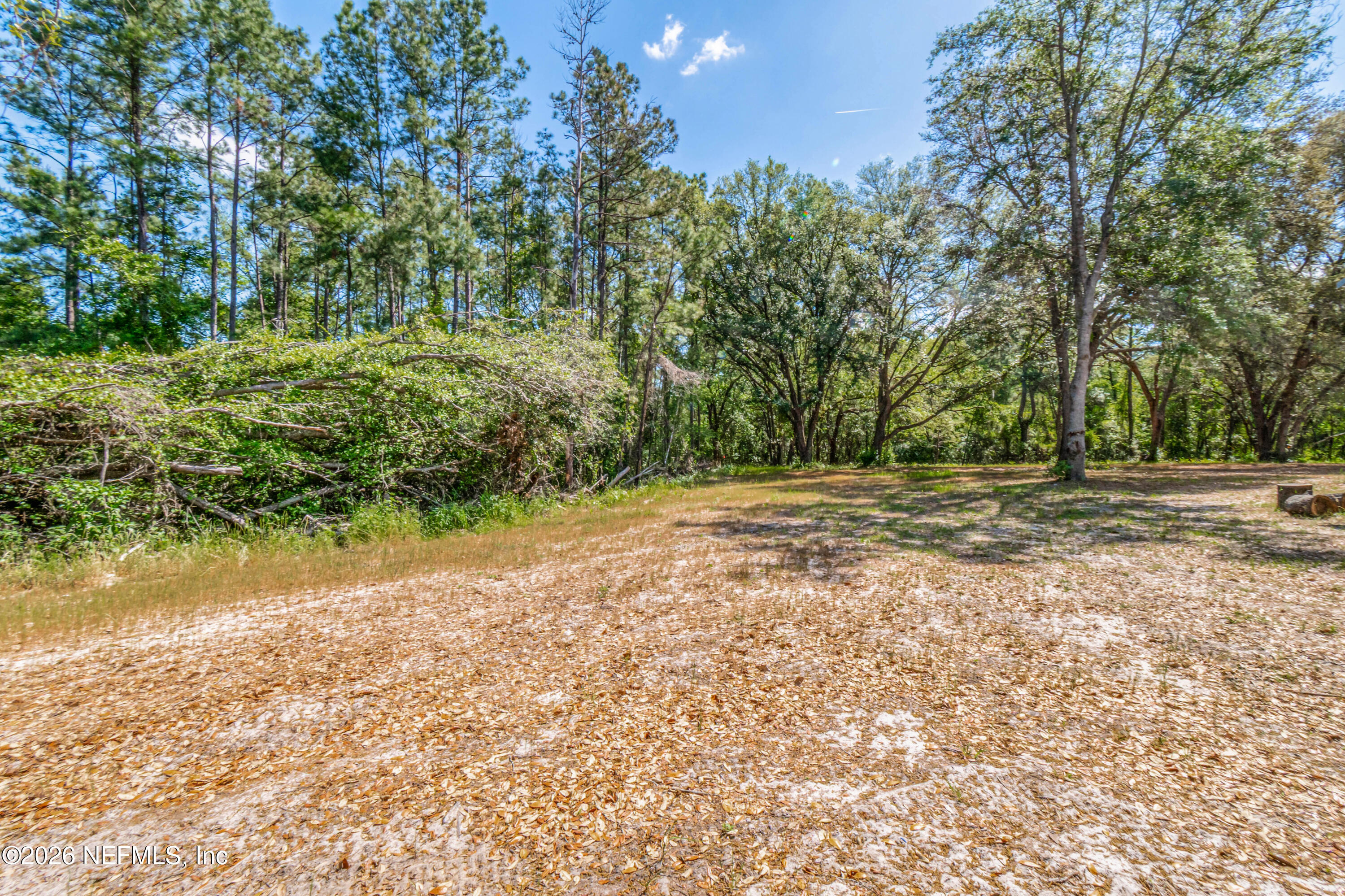 18937 Crews Road Glen St. Mary, FL 32040 - Photo 40 of 43 Yard
