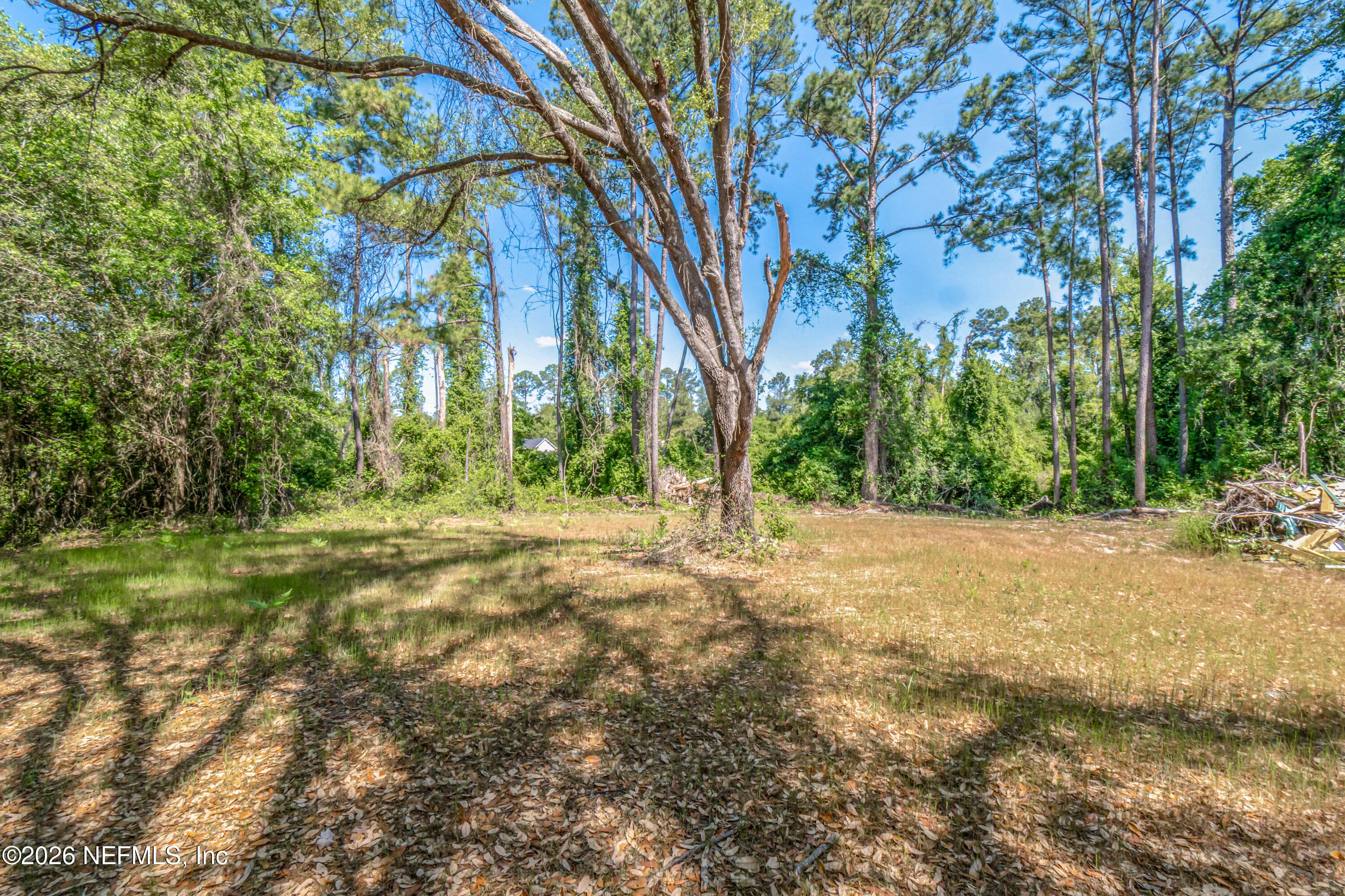 18937 Crews Road Glen St. Mary, FL 32040 - Photo 41 of 43 Yard