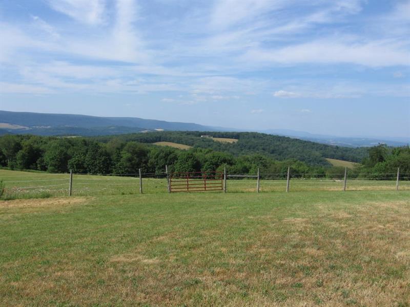 396 Walker Road Buffalo Mills, PA 15534 - Photo 14 of 25