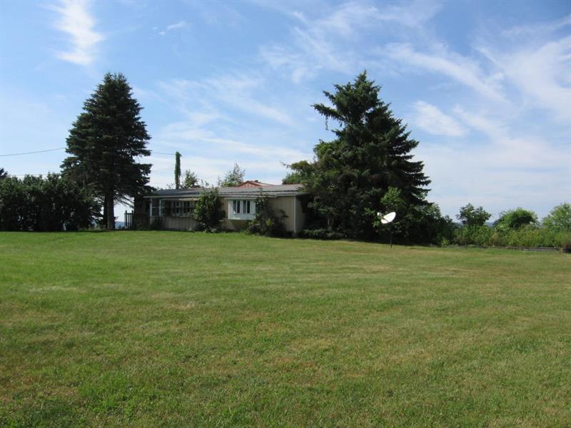 396 Walker Road Buffalo Mills, PA 15534 - Photo 3 of 25