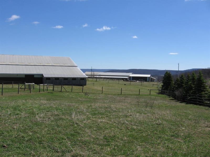 396 Walker Road Buffalo Mills, PA 15534 - Photo 22 of 25