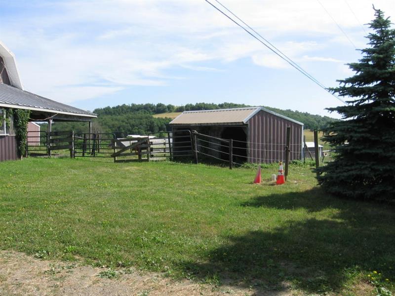396 Walker Road Buffalo Mills, PA 15534 - Photo 8 of 25