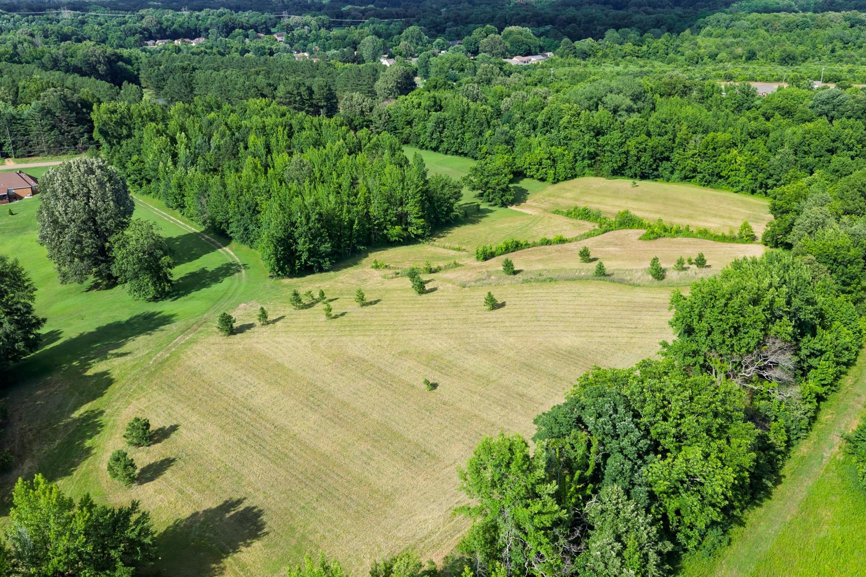 Campground Road Drummonds, TN 38023 - Photo 2 of 13