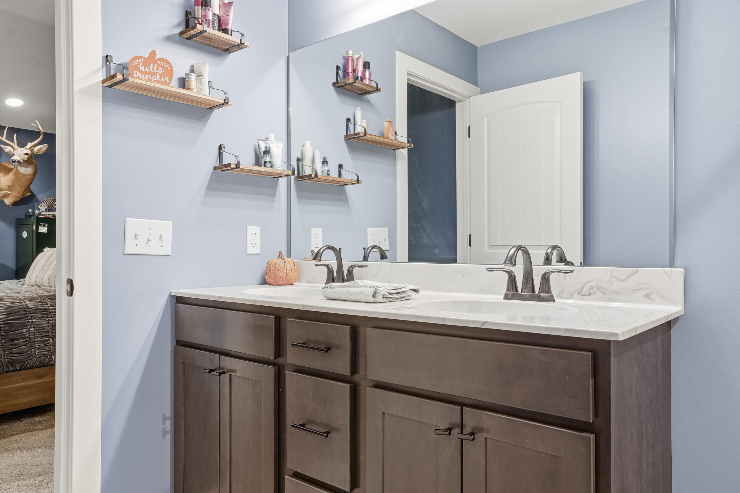10385 Lakota Court Demotte, IN 46310 - Photo 27 of 29 a bathroom with a sink and a mirror