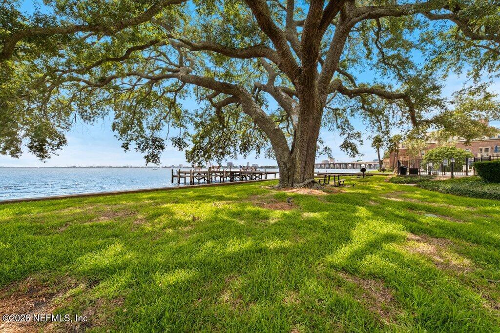 823 Lasalle Street, Unit 821/823 Jacksonville, FL 32207 - Photo 24 of 34 823 Lasalle St (2).JPG-SMALL