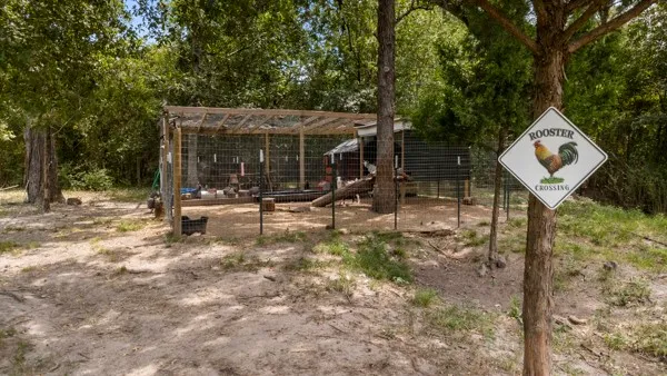 an aerial view of residential houses with outdoor space and trees