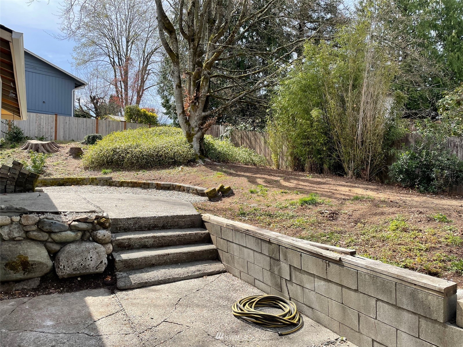 22020 5th Avenue West Bothell, WA 98021 - Photo 12 of 12 a view of a backyard with trees