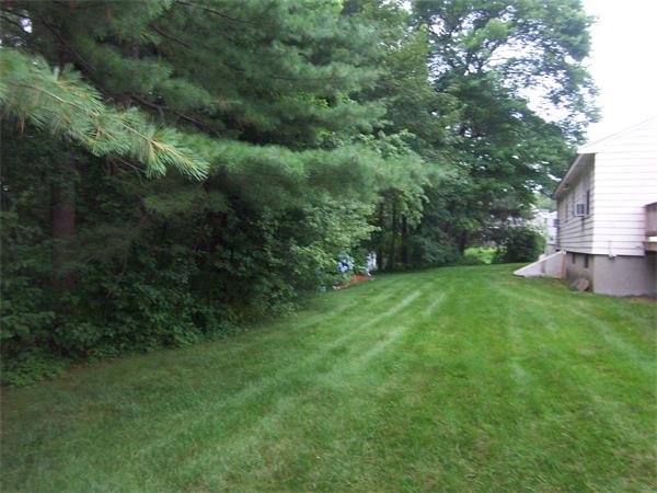 18 College Road Burlington, MA 01803 - Photo 5 of 16 Gallery Image 5