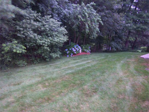 18 College Road Burlington, MA 01803 - Photo 7 of 16 Gallery Image 7